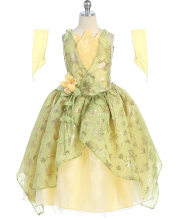 # BJ025 : Princess Tiana Party Dress