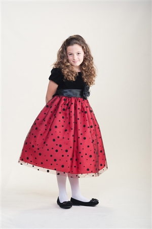 Flower Girl Dress : Velvet Cap Sleeved w/ Polka Dot  Skirt