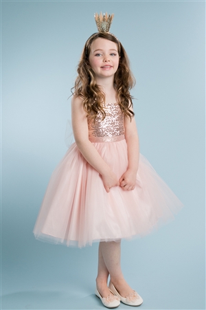 Adorable Tulle & Glitter Bodice Dress (#PA216)