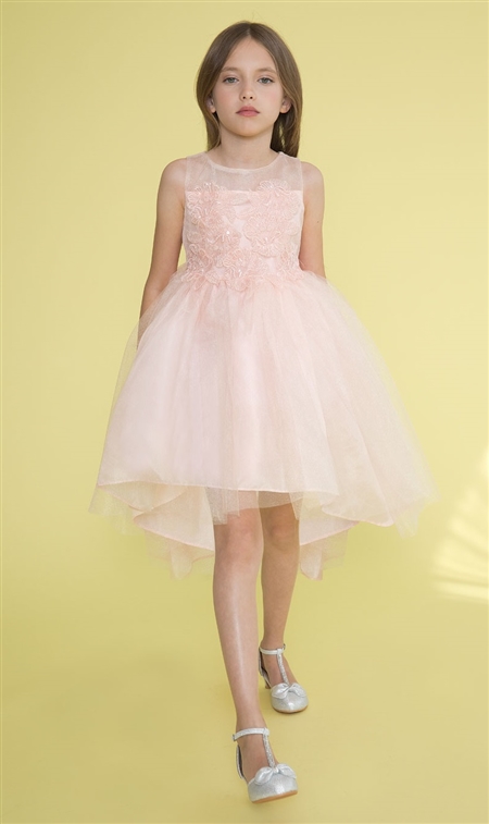 #CAD-758 : BLUSH High-Low Tulle Dress with Beaded and Embroidered Bodice