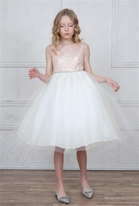 #CAD-770 : Lace Brocade and Tulle Dress