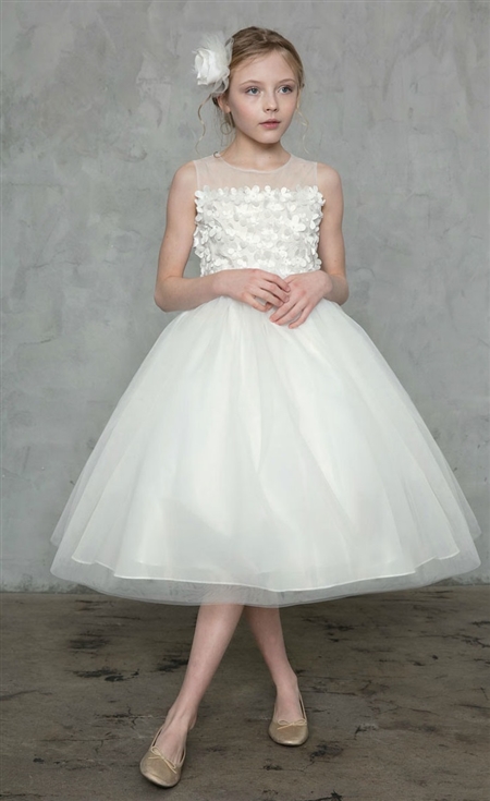 #CAD-771 : Embellished Illusion Bodice and Tulle Dress