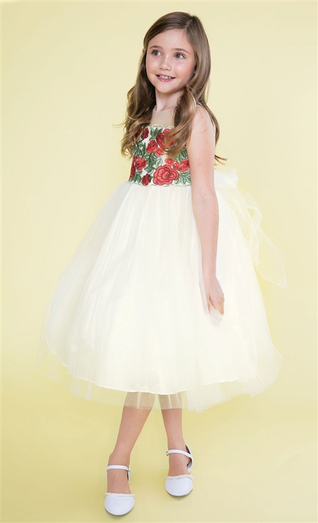 #CAD-780 : Floral Bodice and Tulle Dress